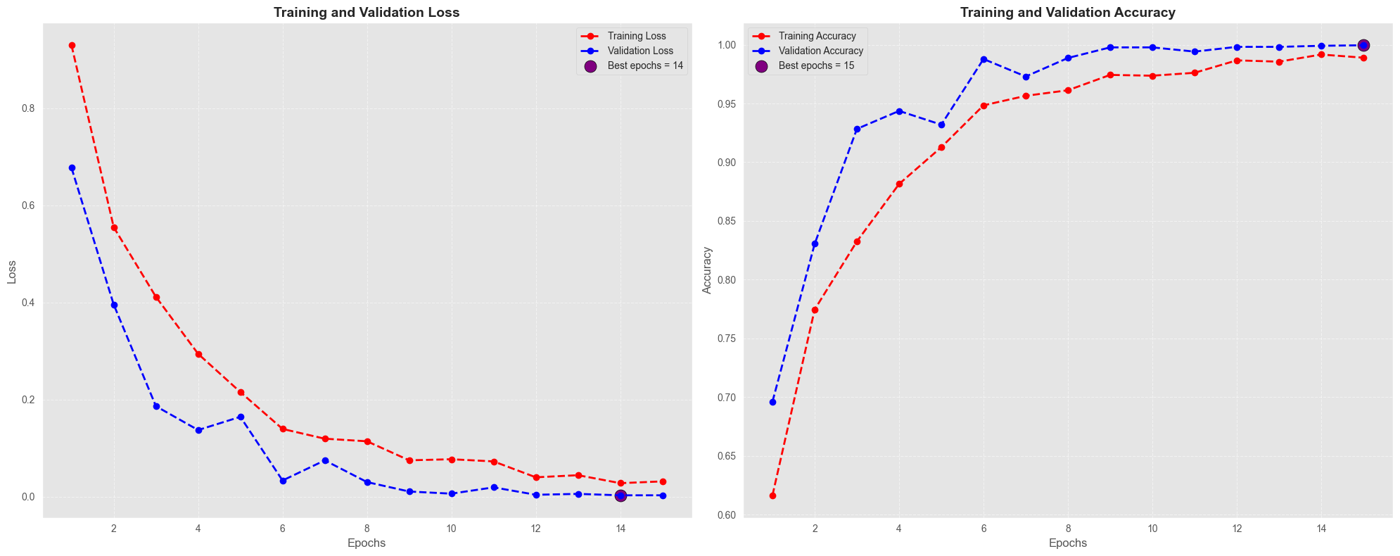 Cardiomegaly Detection (EfficientNet-B7) — Model Learning Curve
